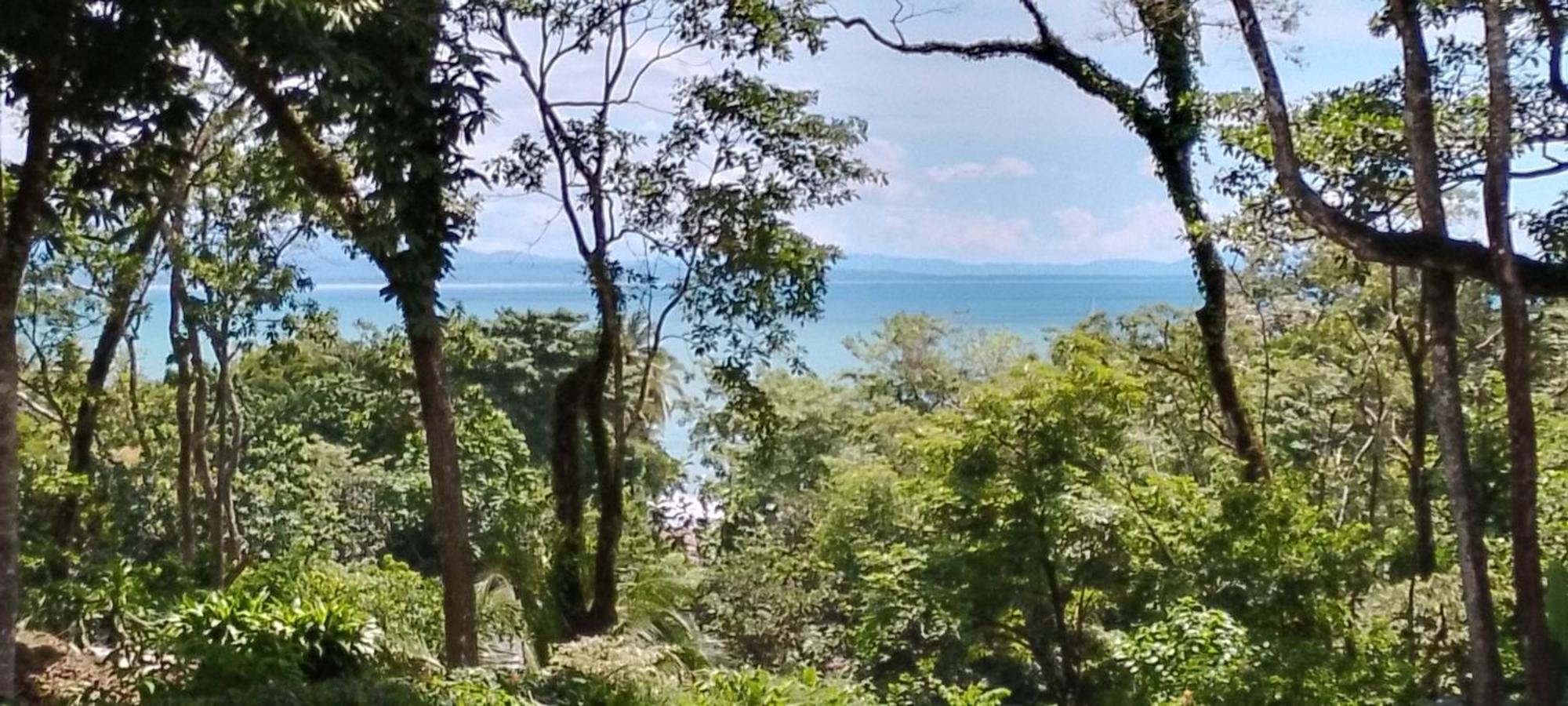 Ocean View Modern Dreamhouse Pavones (Puntarenas) Exterior foto